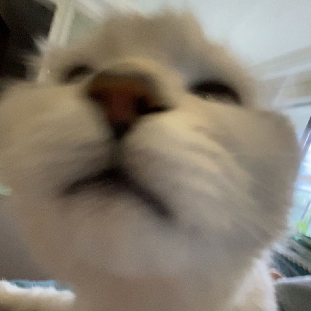 银子拉