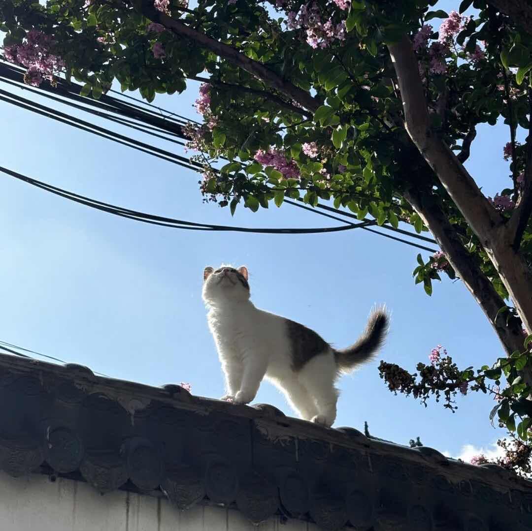 世界美景推荐官
