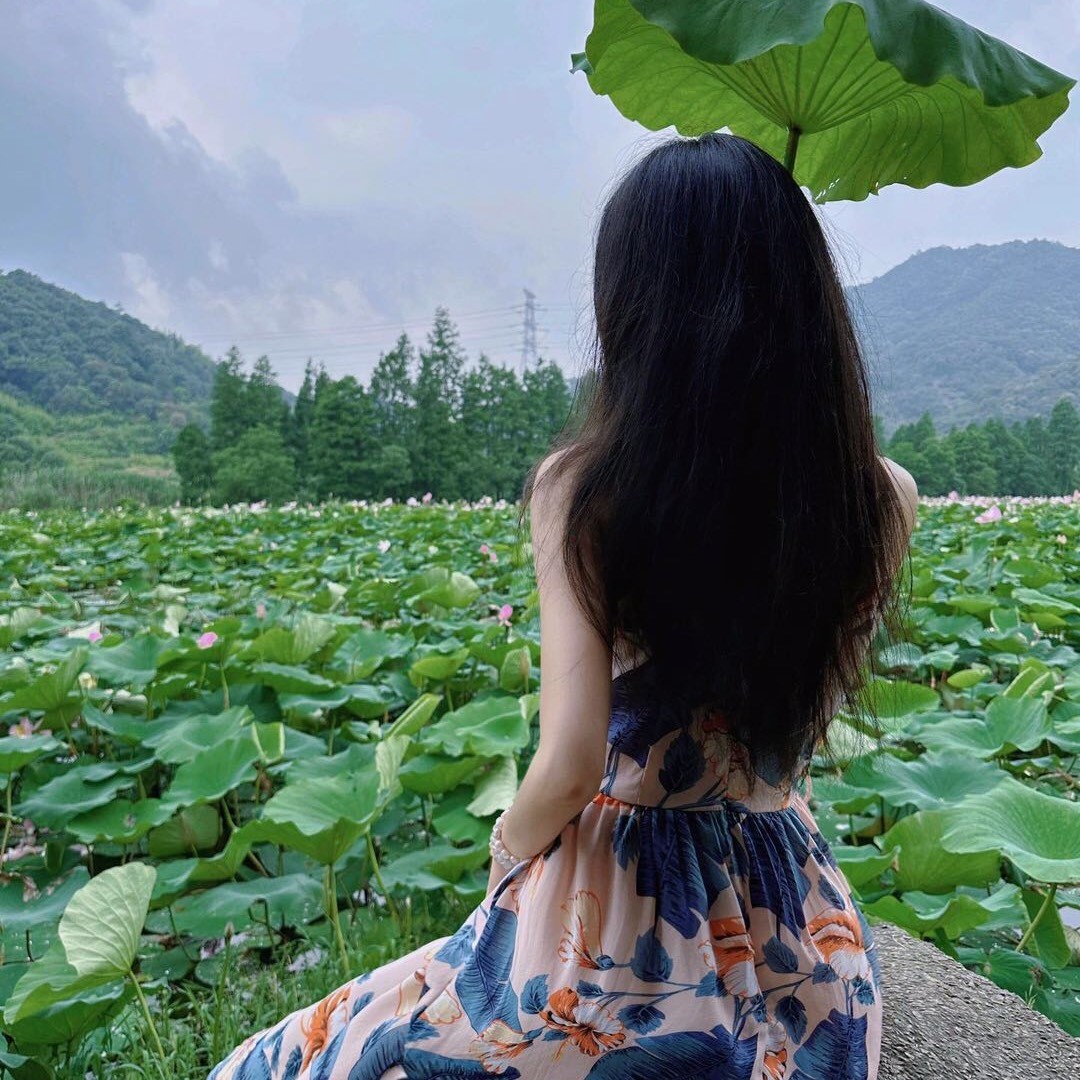 菡萏寄七安