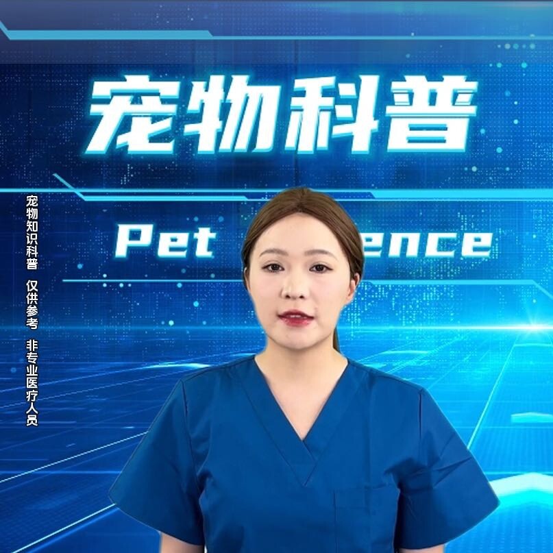 科学养猫指南-王老师