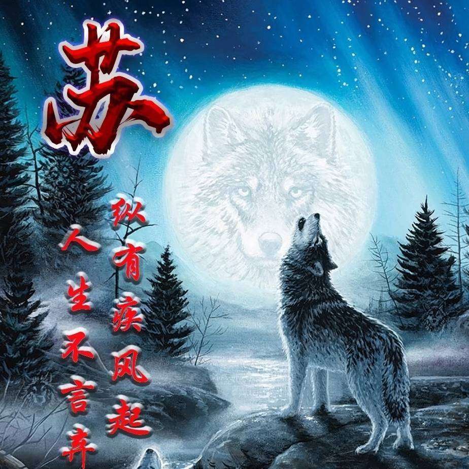 快给心爱的一场浪漫