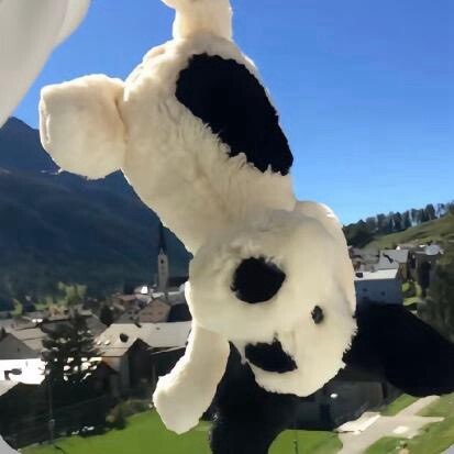 阿柒的日常分享