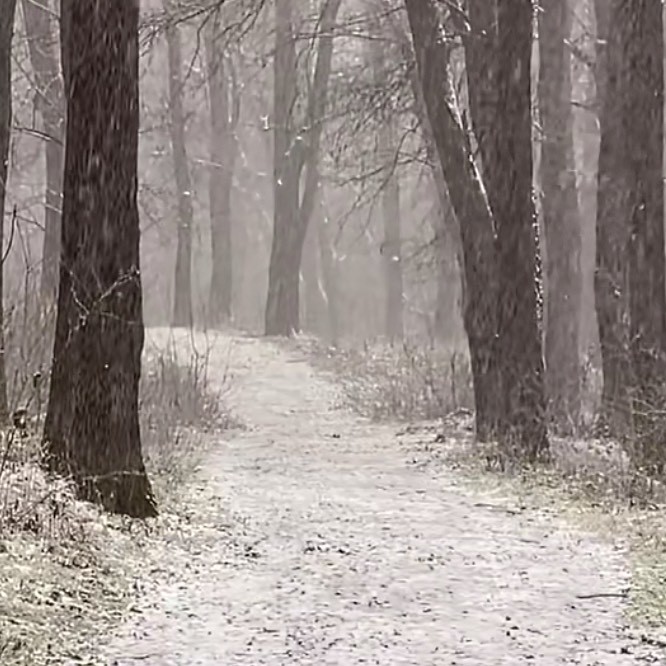 农村生活趣事多