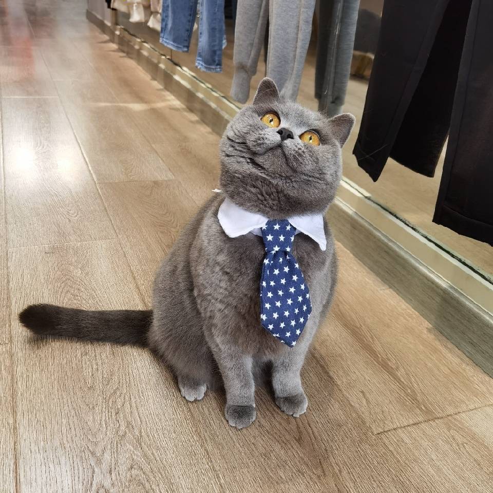 通天街美人季女装