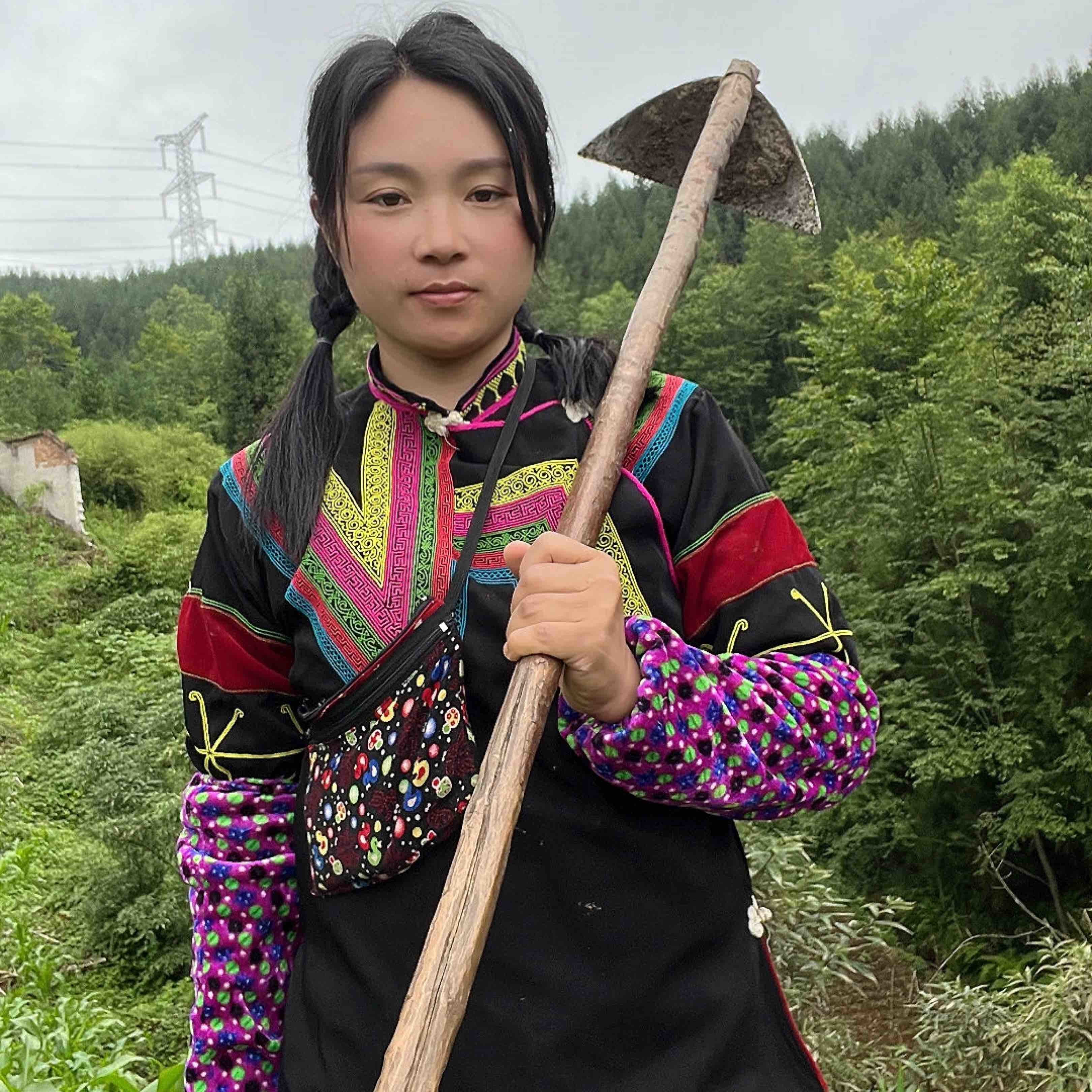 大山里的阿麗