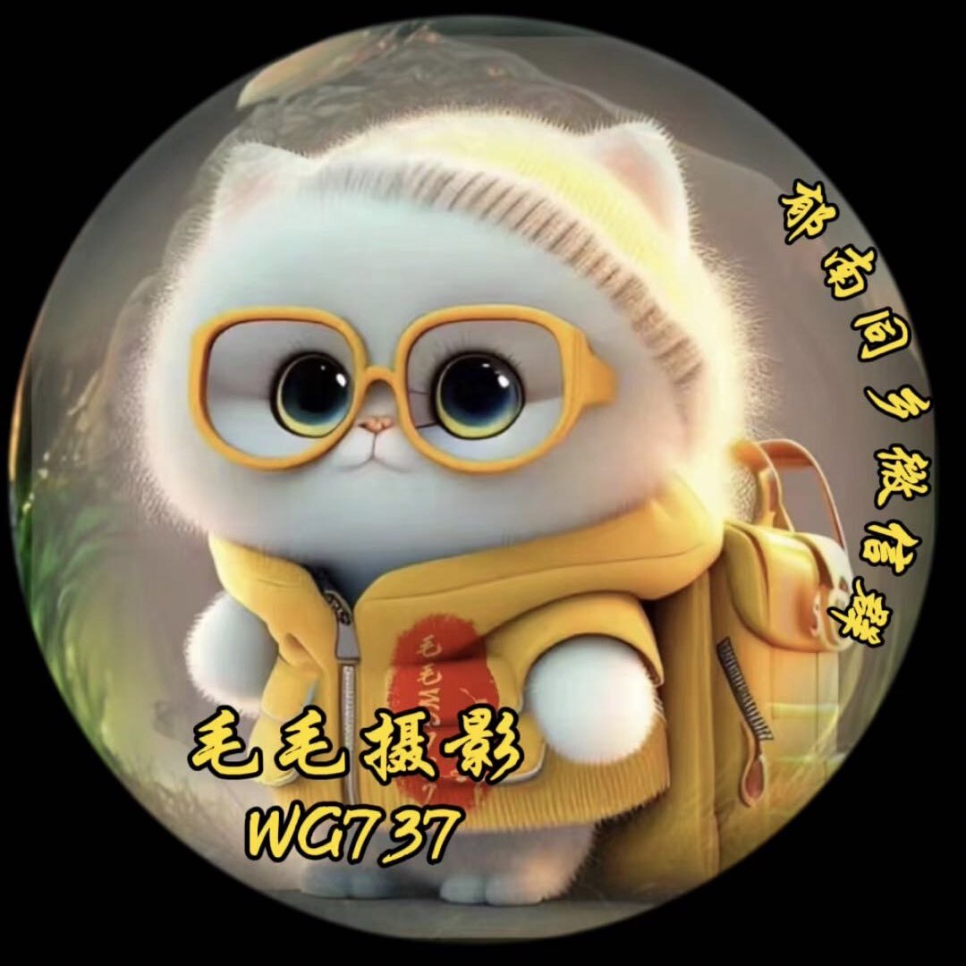毛毛摄影WG737