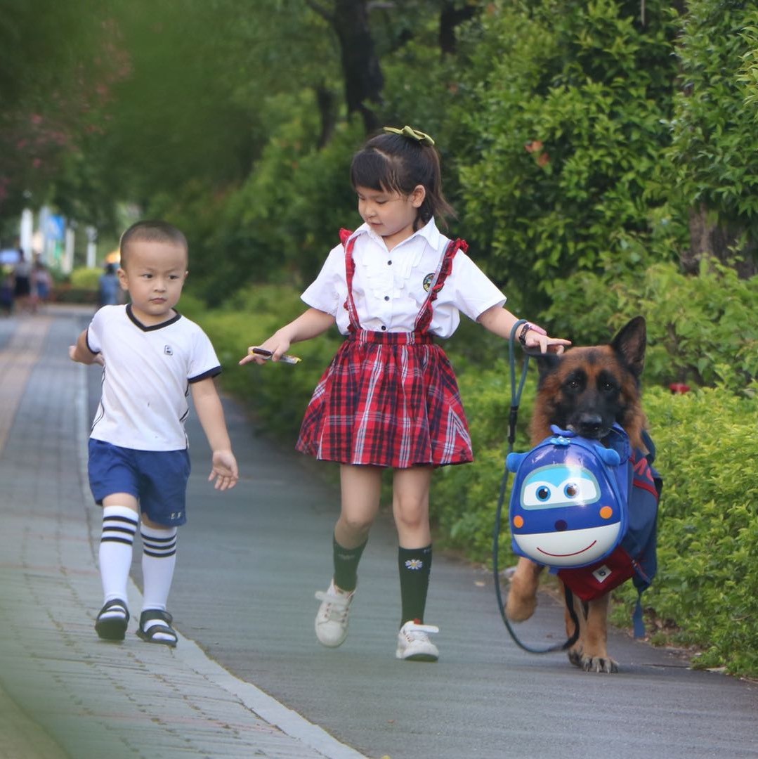 糯米的趣味生活