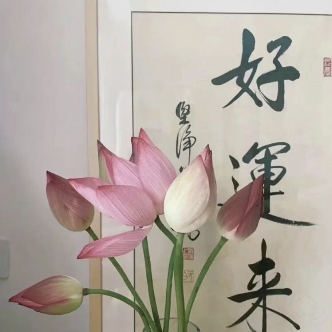 柒姨爱分享