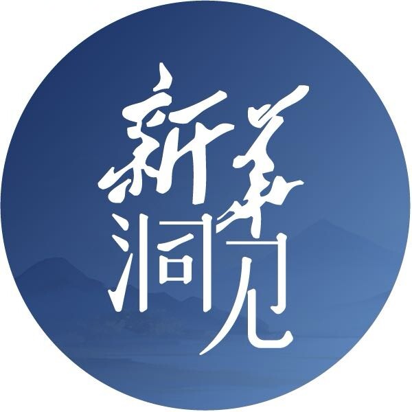 新华洞见