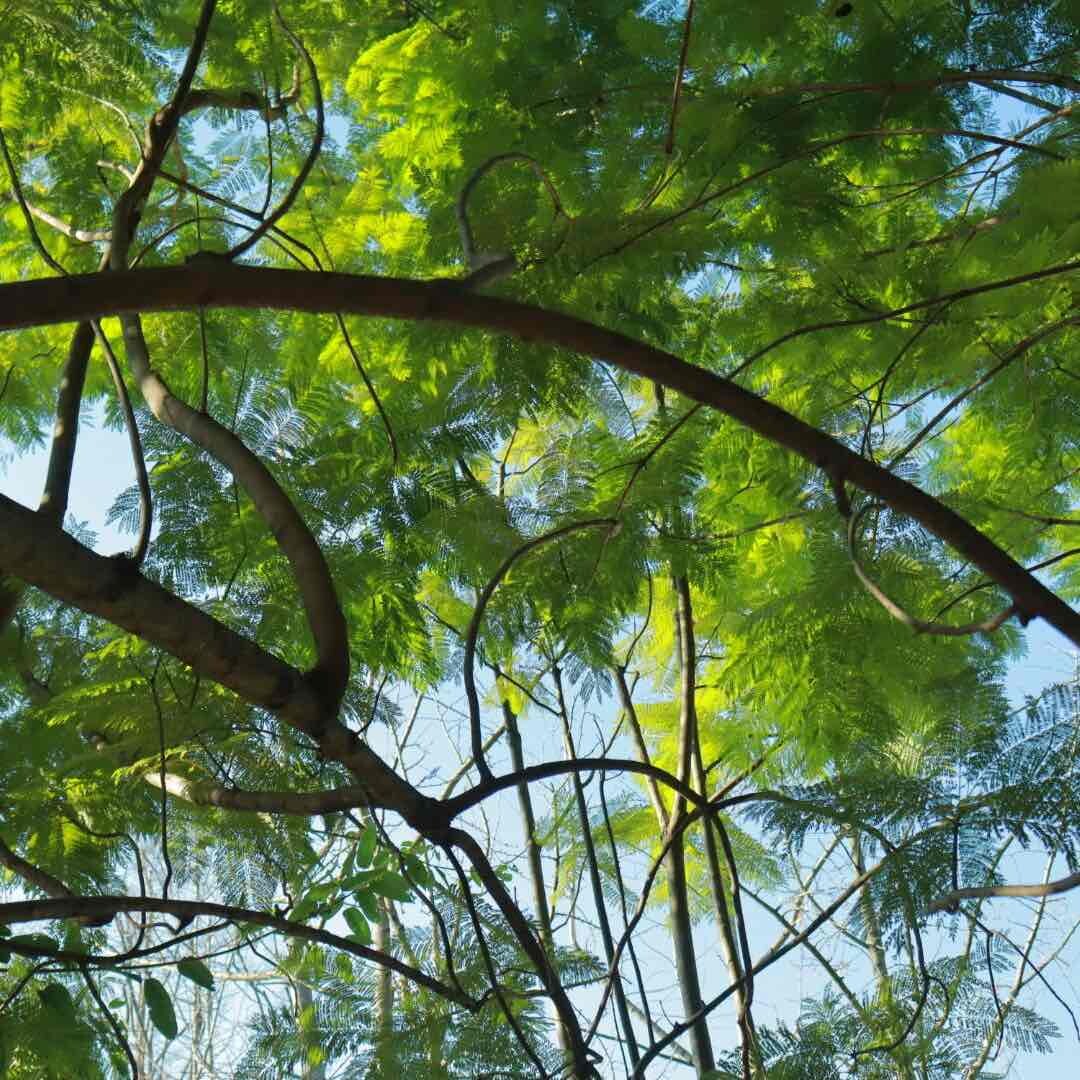小宅爱设计哦