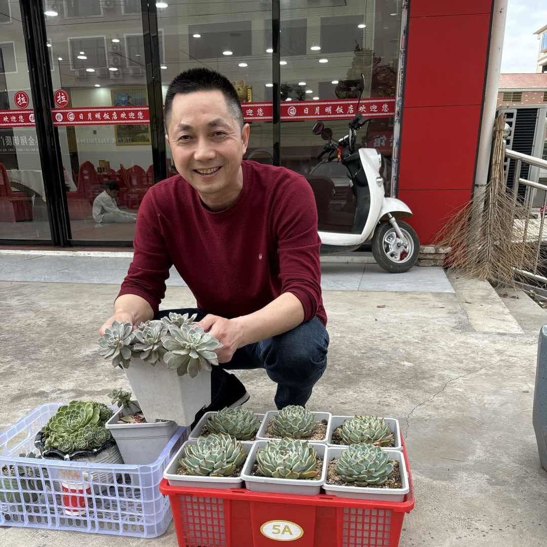 农村贺宝