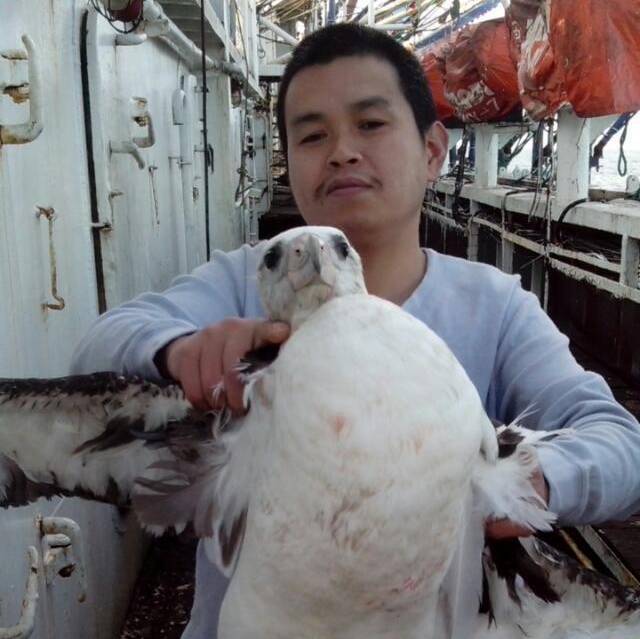 贵州江鸽船务有限公司