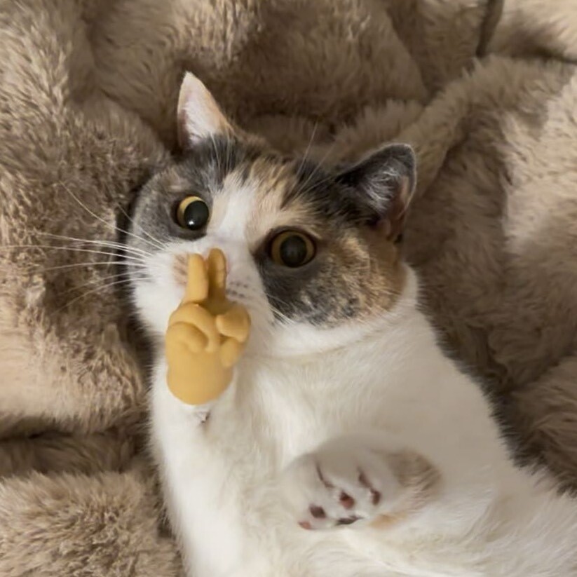 视频号黑马榜萌宠排行榜第9名undefined,飙升值91.3,新榜指数750.0,新增作品数51,总推荐数6.8w,平均推荐数1343.2,最高推荐数6.4w