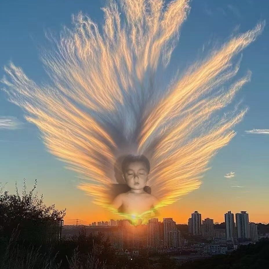 刘刘的永生情报处