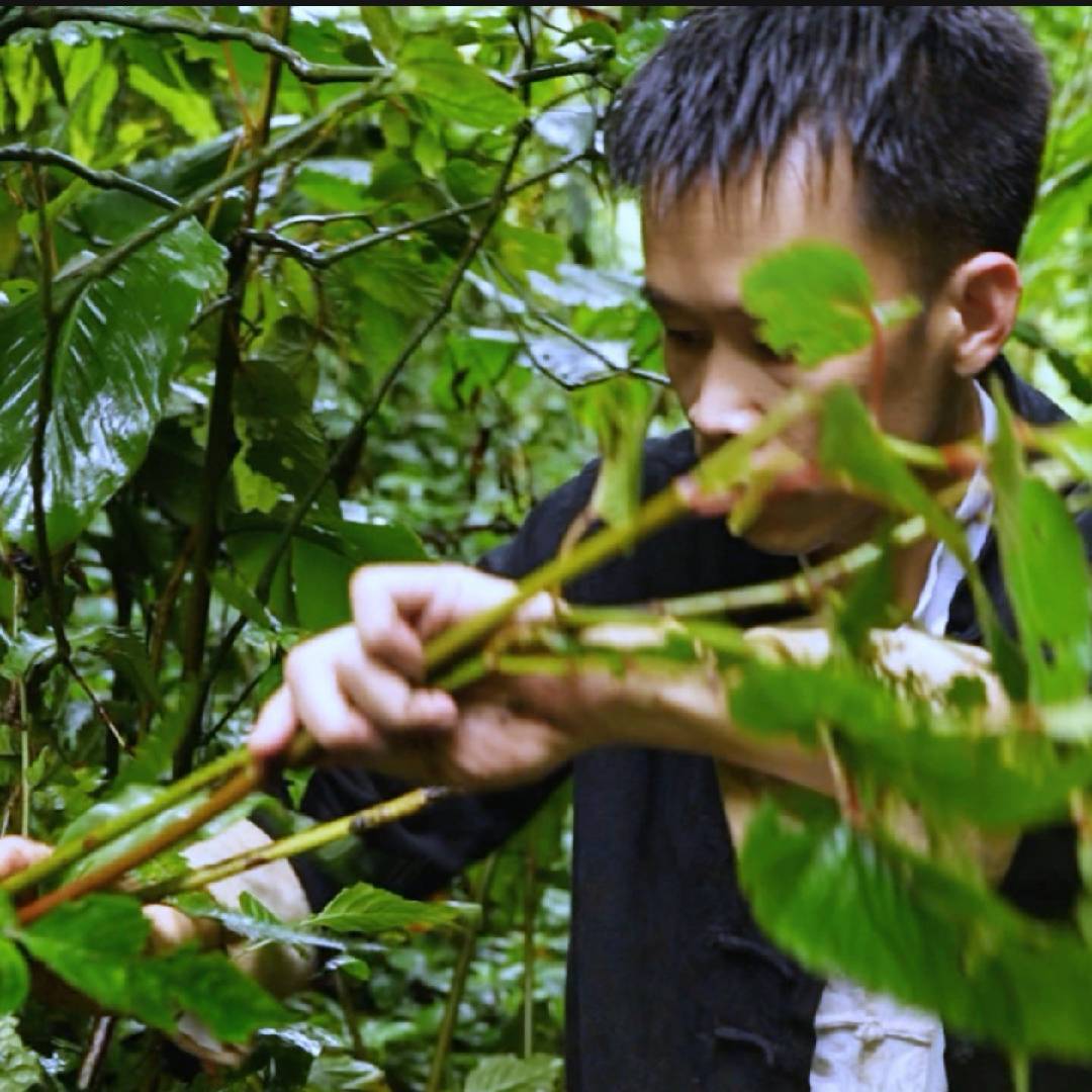 山村野狼