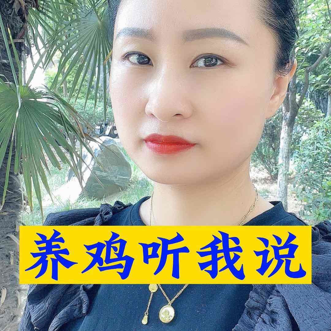 养鸡听我说