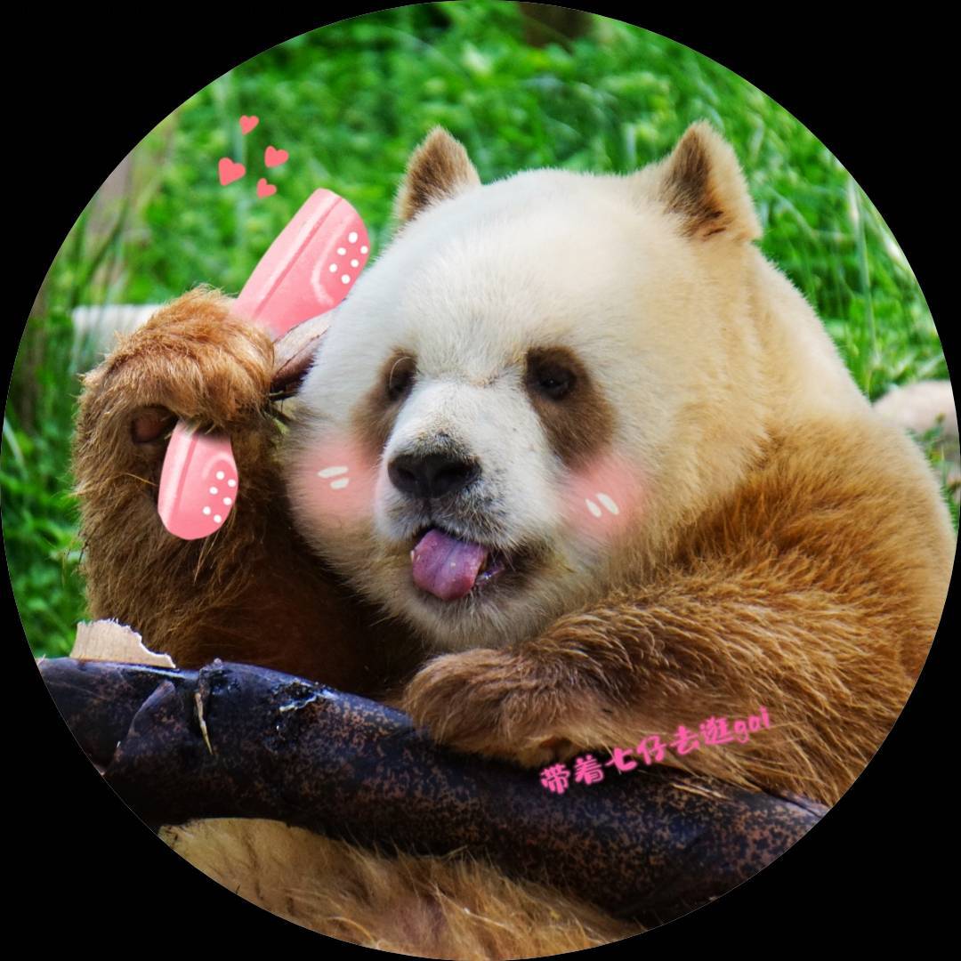 带着七仔去逛gai
