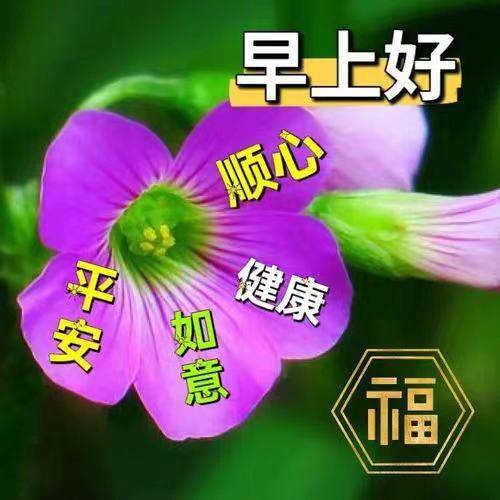 早安满满的正能量