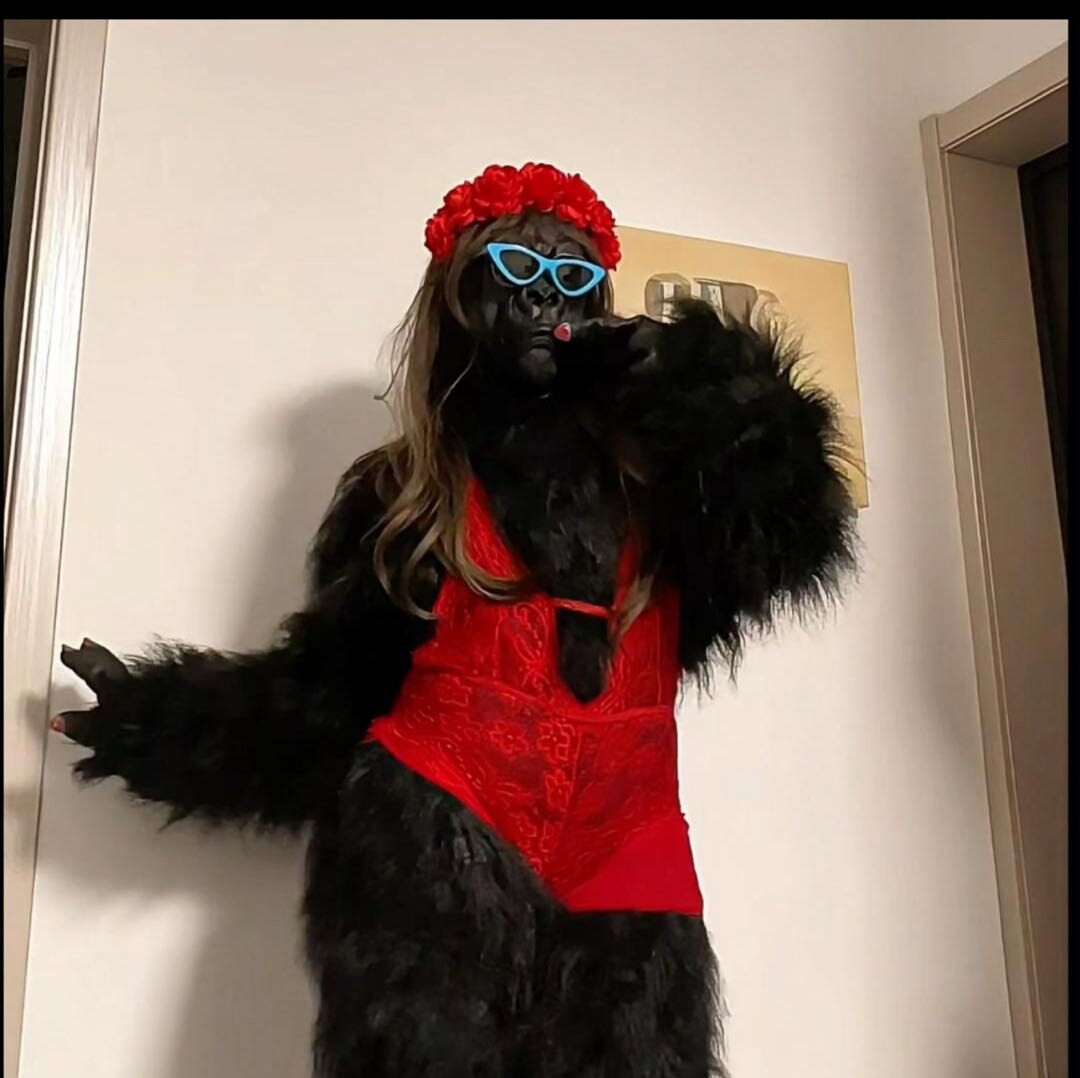 -女明猩11
