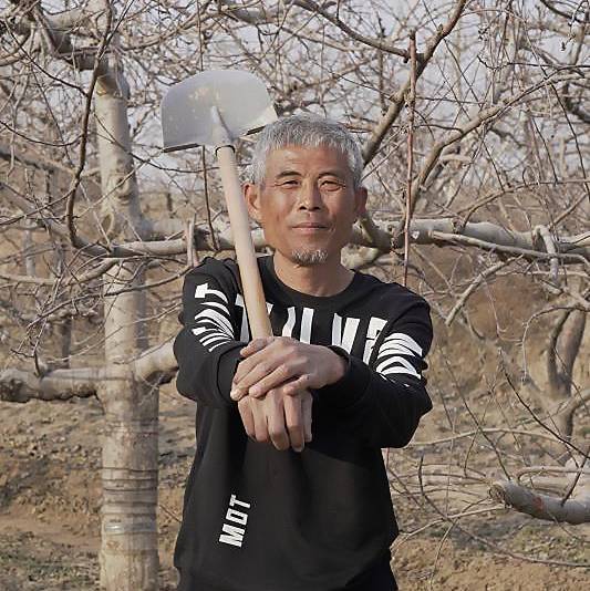 临猗农民苹果哥