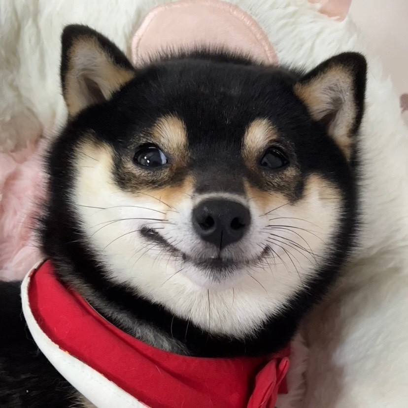元宝长不大-