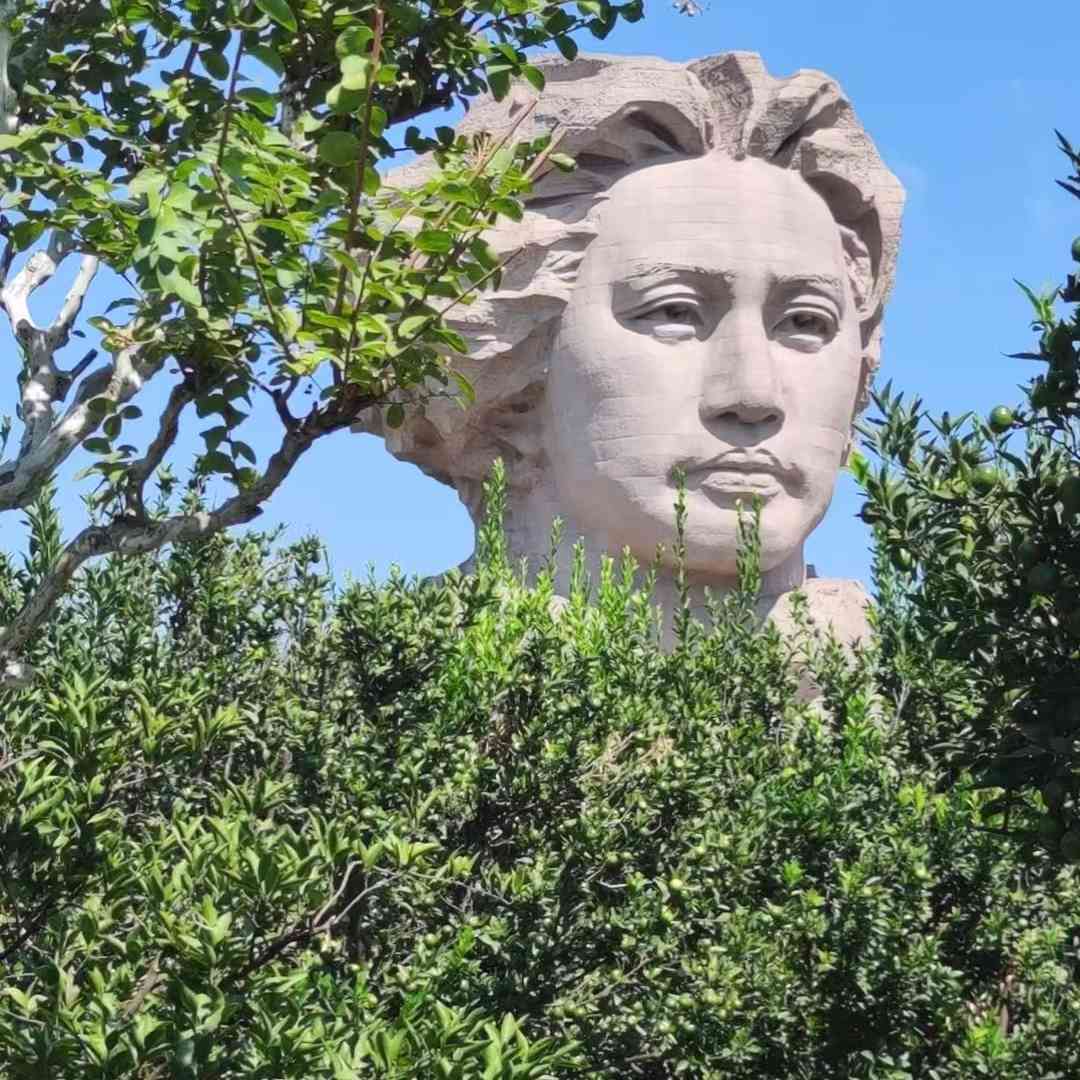 七沫阳光LL