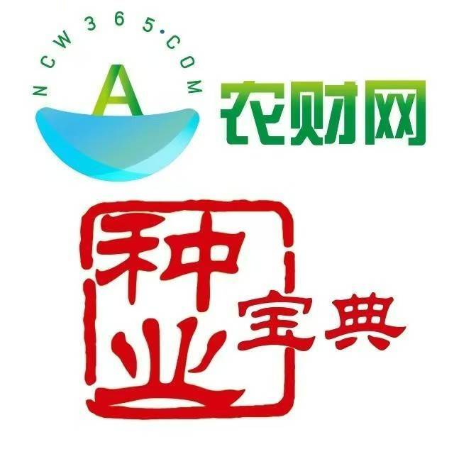 大国种芯