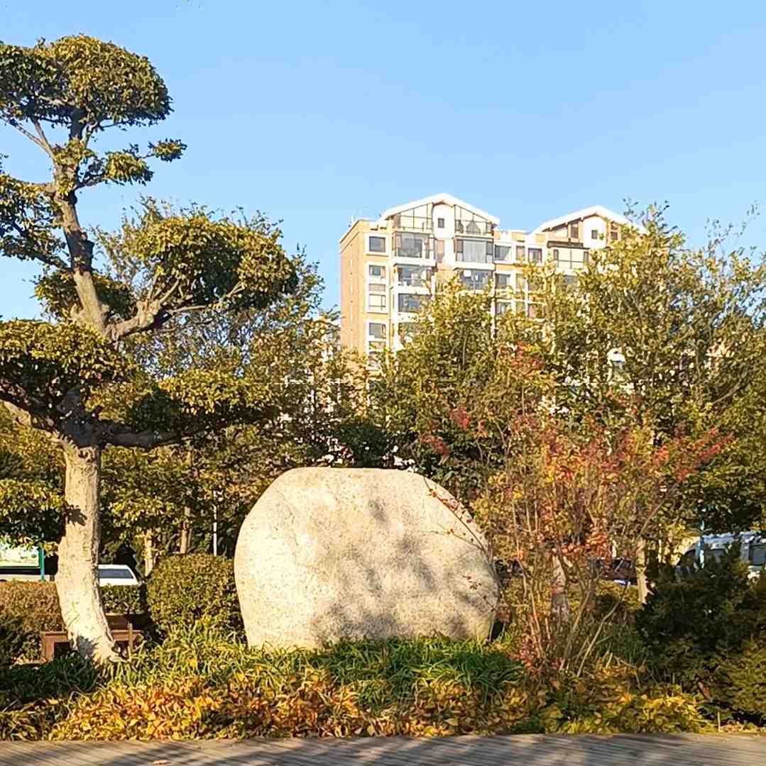 净土7316