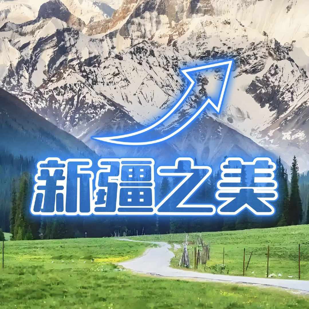 视频号黑马榜舞蹈排行榜第11名undefined,飙升值88.7,新榜指数463.3,新增作品数6,总推荐数571,平均推荐数95,最高推荐数316