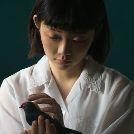 来看苏吧