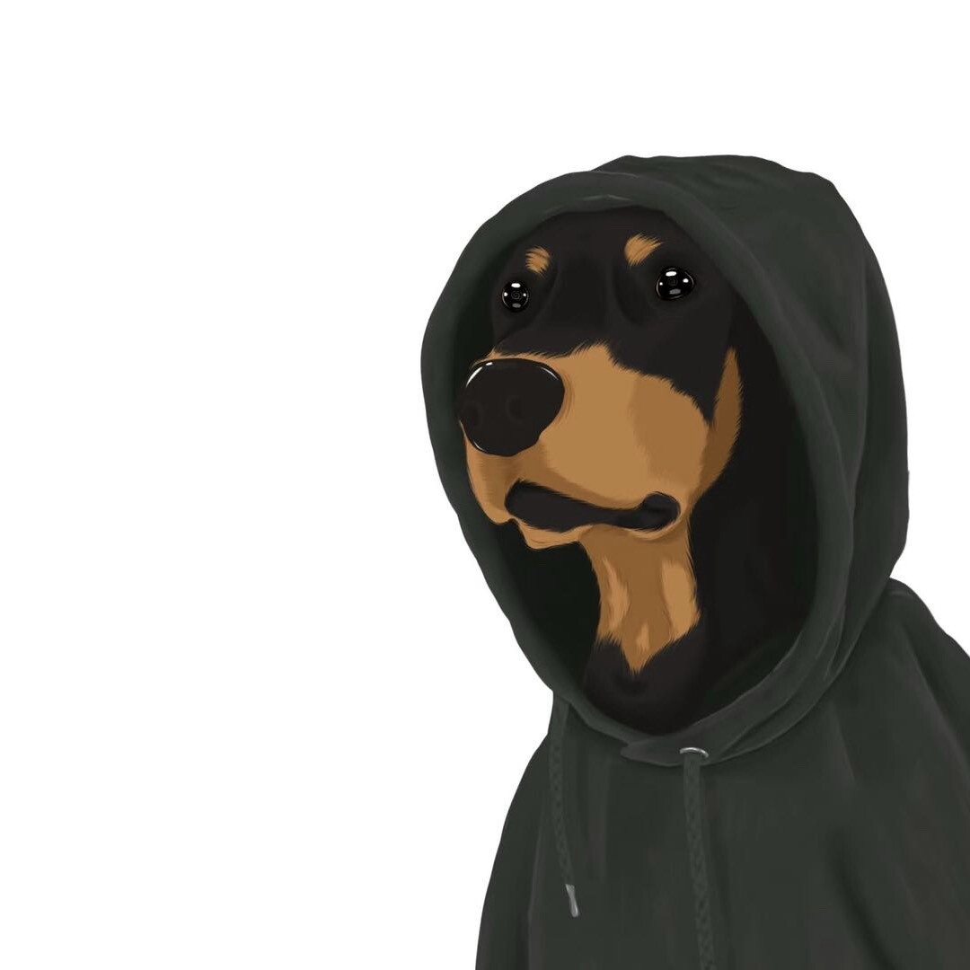 视频号黑马榜萌宠排行榜第27名undefined,飙升值85.6,新榜指数675.9,新增作品数53,总推荐数2.7w,平均推荐数523.9,最高推荐数9739