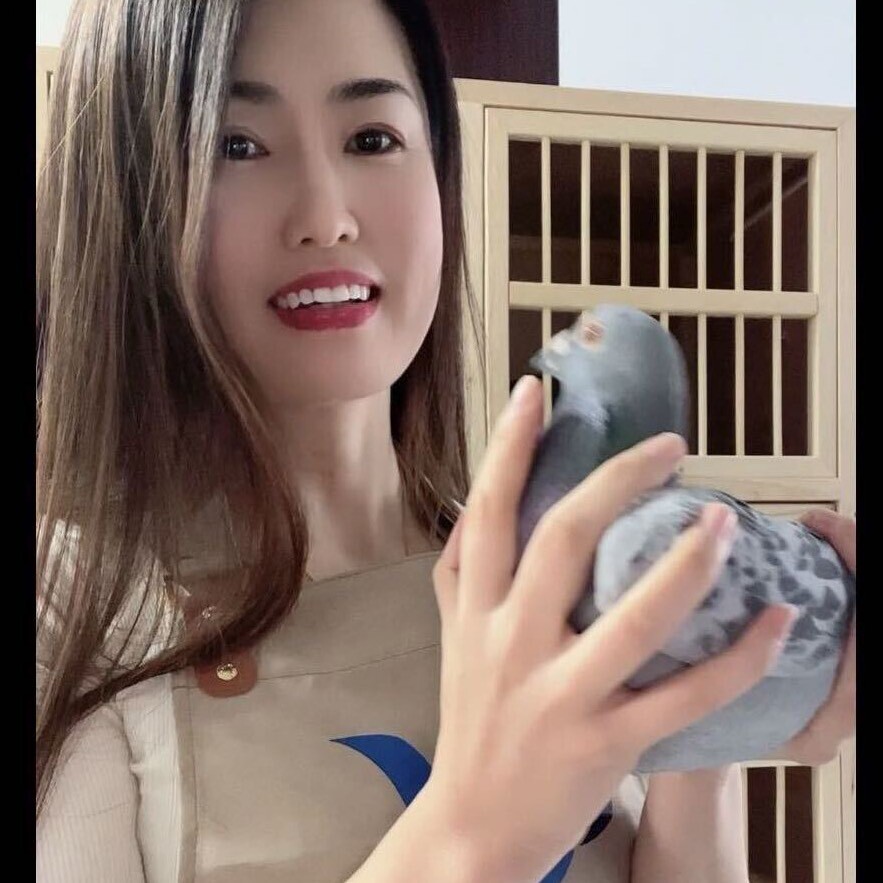 熙熙赛鸽姐姐