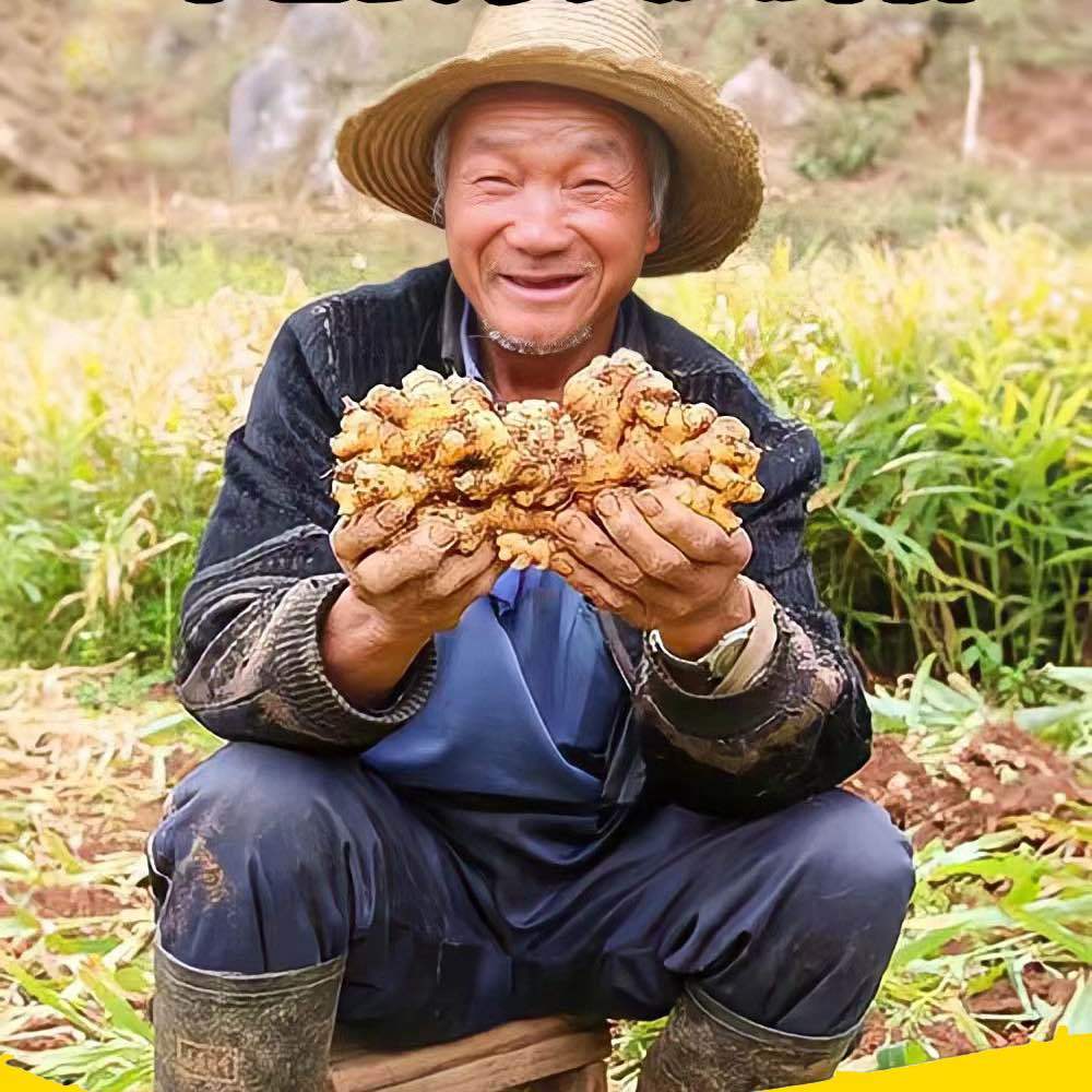 晴小小生鲜优选
