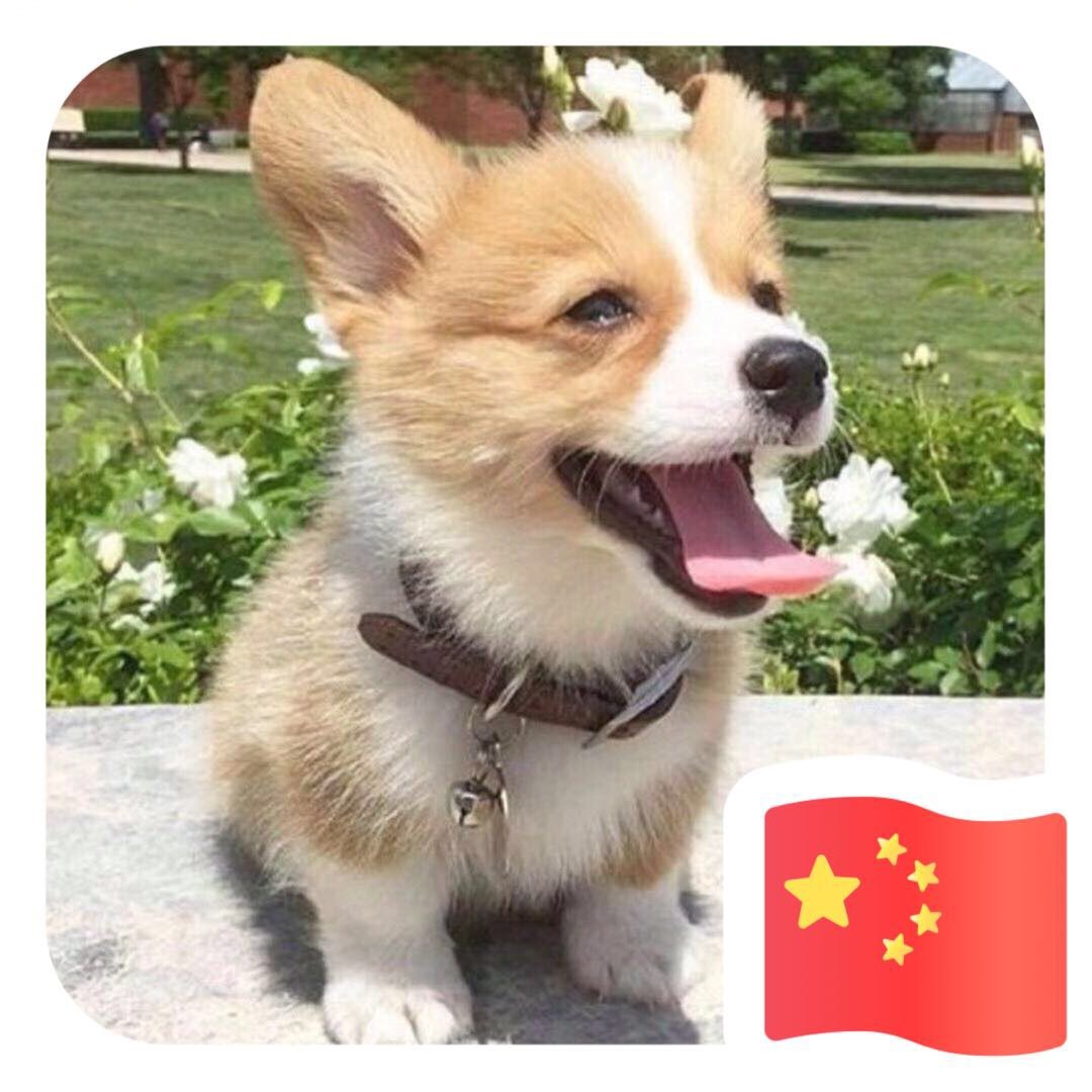 昊子燃剪