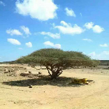 冬日暖阳8604的视频号