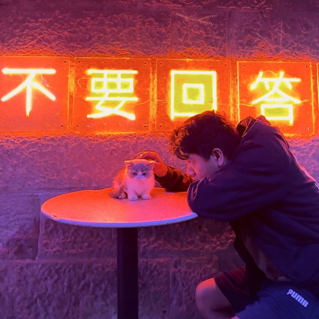 山城小三花儿她爹