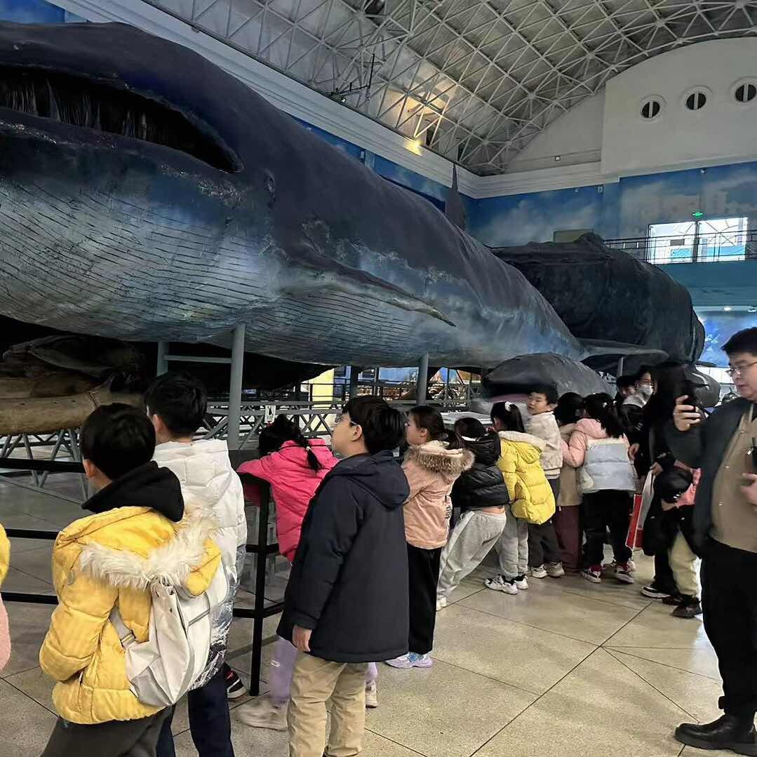 教与物33号