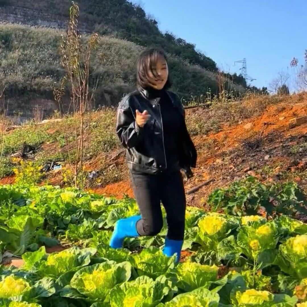 贵州菊妹