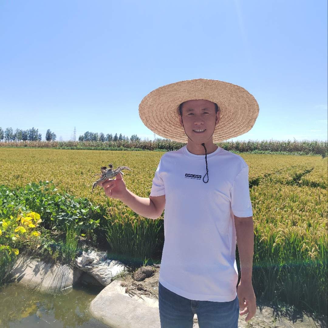 蟹瑞星禾蟹先生