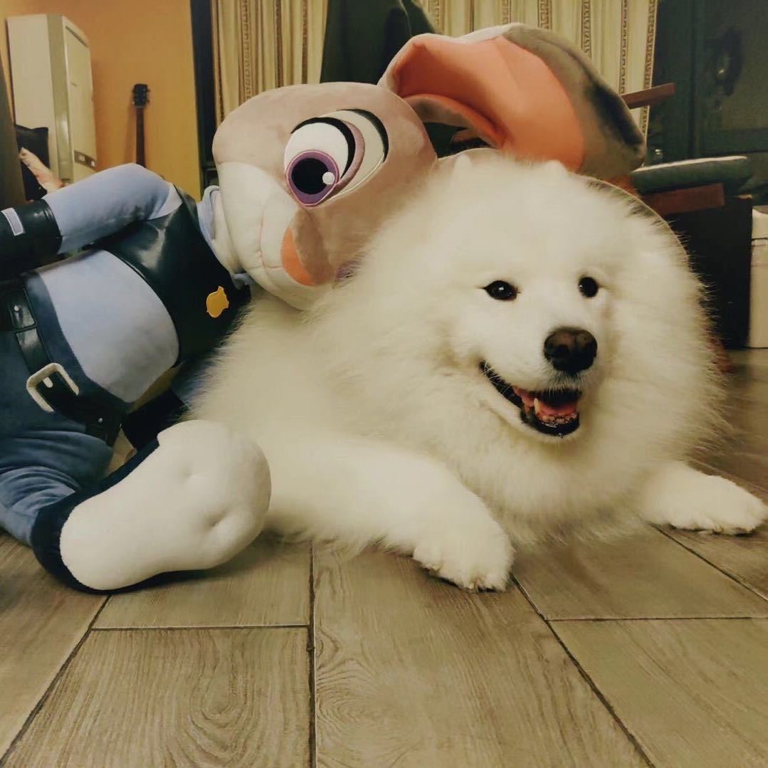 温妮不姓温&全网同名