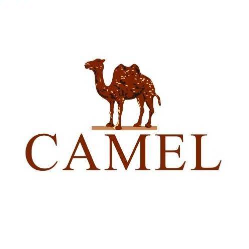 CAMEL骆驼