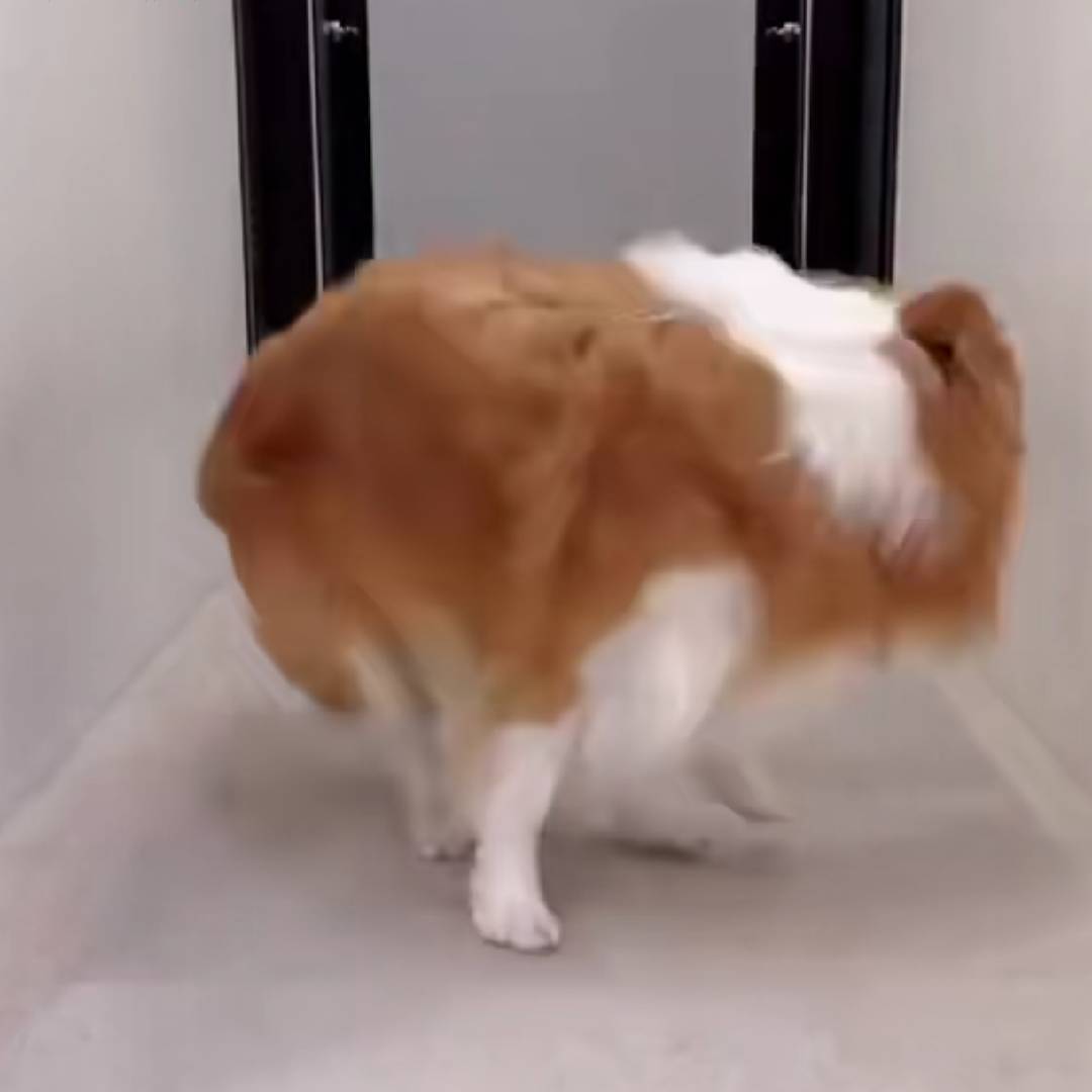 些许的温度