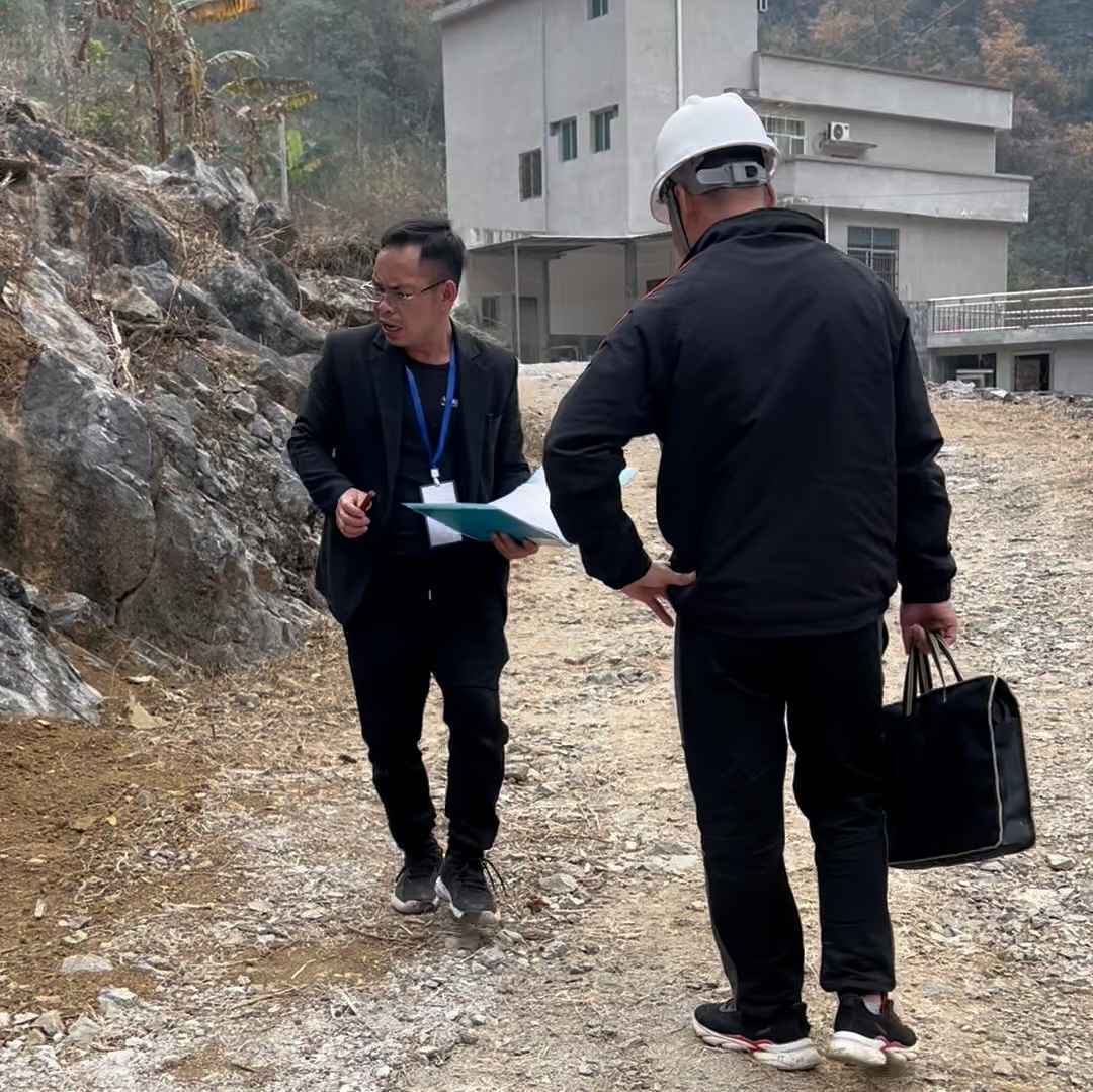 河池版照子龙