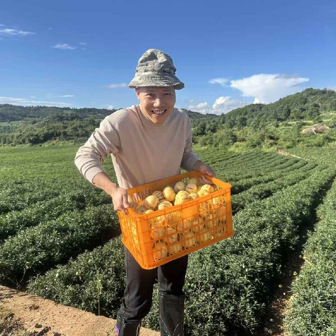 怪才主任搞农产品