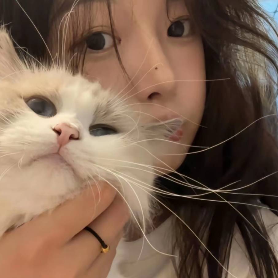 最爱猫咪呀呀