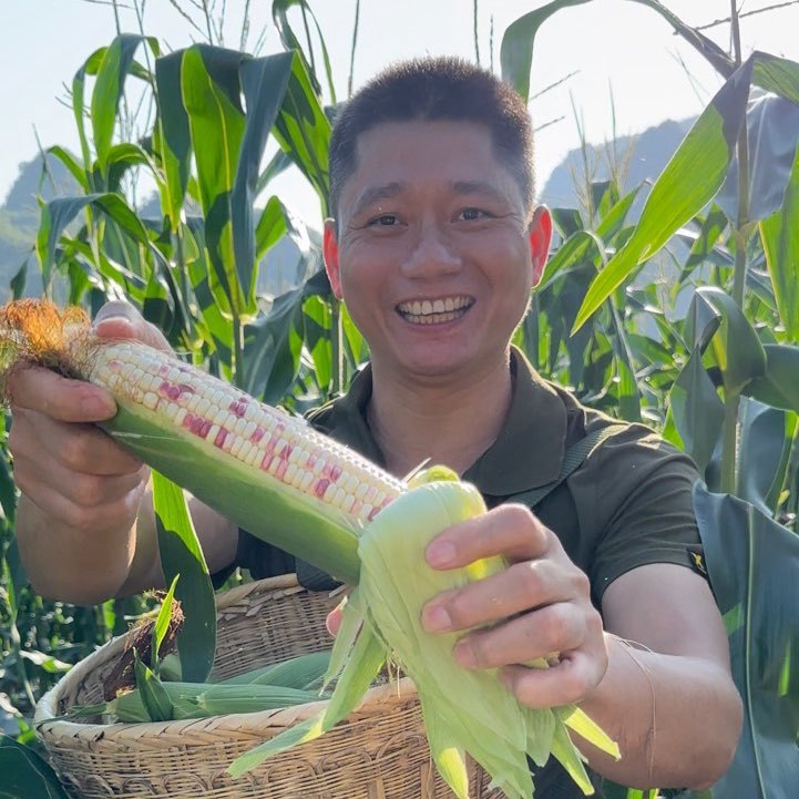 苍梧番薯哥1