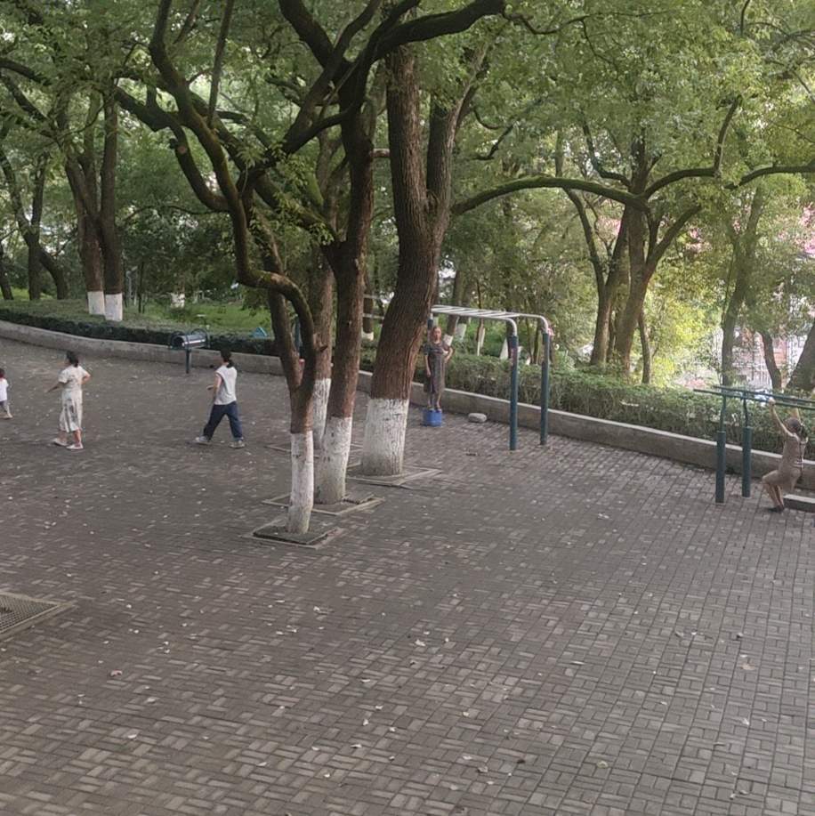 小高教练优选
