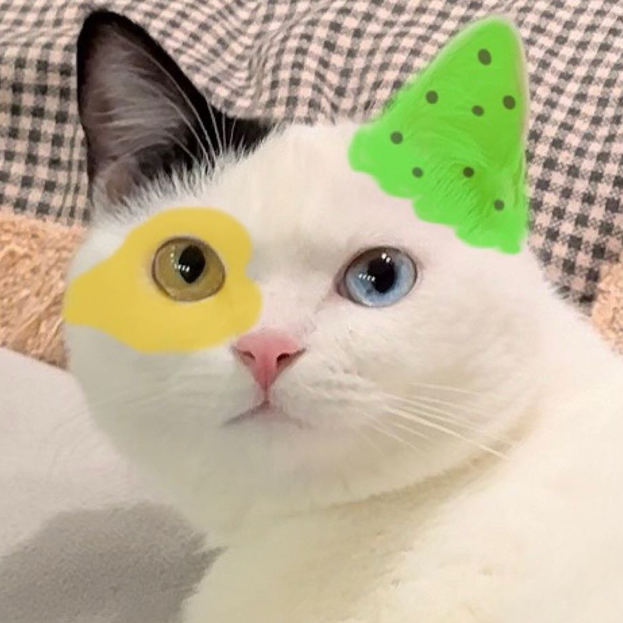 顶瓜瓜的漂亮主人