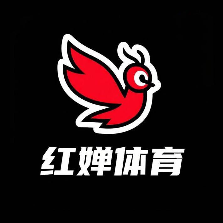 龙头体育足球