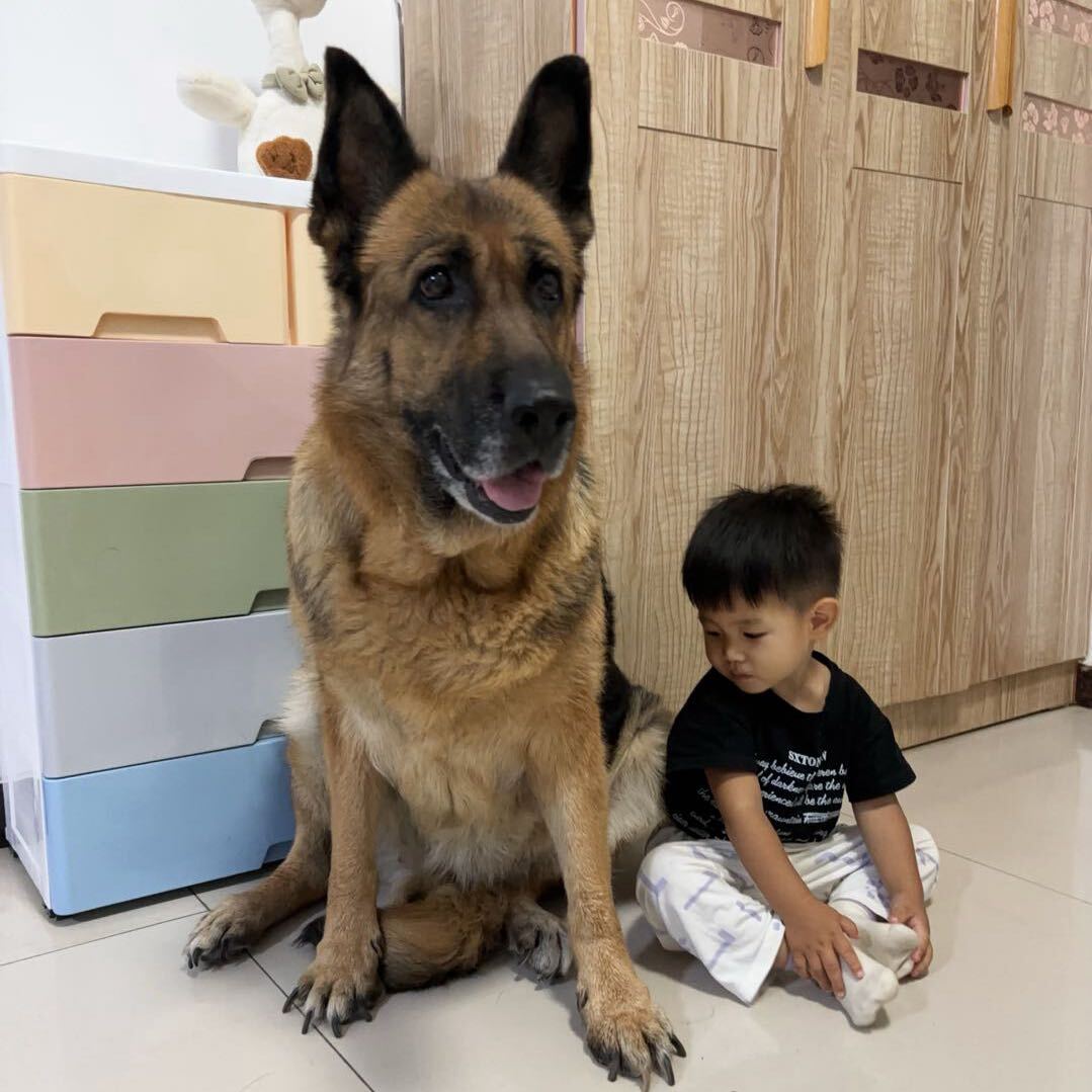 车铁蛋子